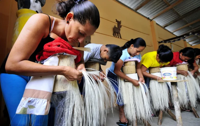 Ricardo Camacho advierte que el título de la Unesco otorgado a la paja toquilla podría olvidarse si no hacemos nada