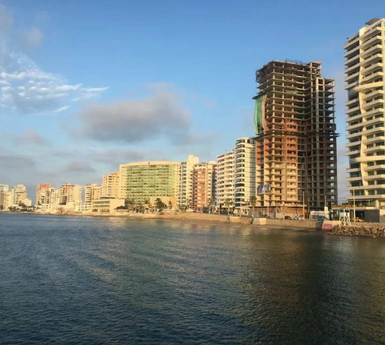 De ciudadanos a vigilantes: el rol de la participación ciudadana en la gobernanza pública