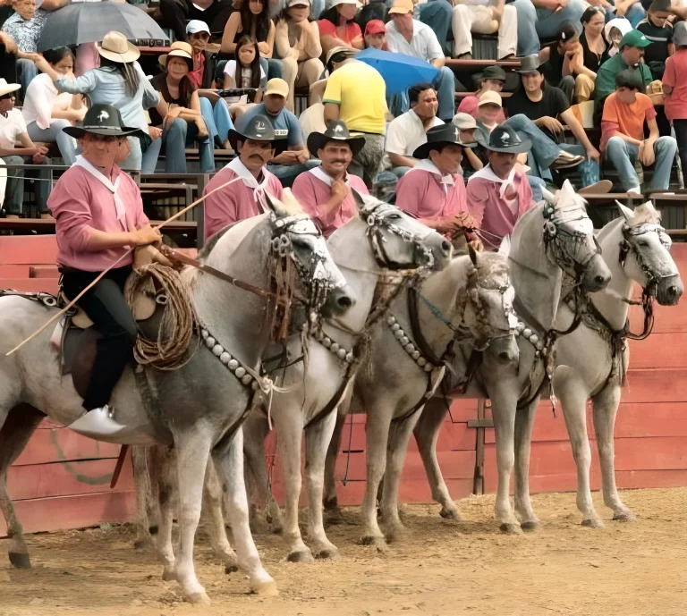 Cosmogonía montuvia: un legado lleno de amorfinos, cantares, costumbres y tradiciones