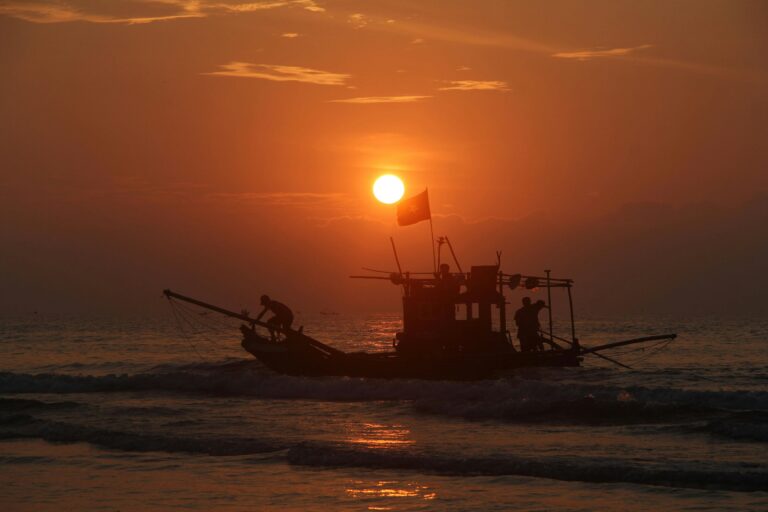 Este día nos recuerda la importancia de proteger los mares y valorar el esfuerzo detrás de cada captura. ¡Honremos a los pescadores! Foto de Alexander Mạnh Cường