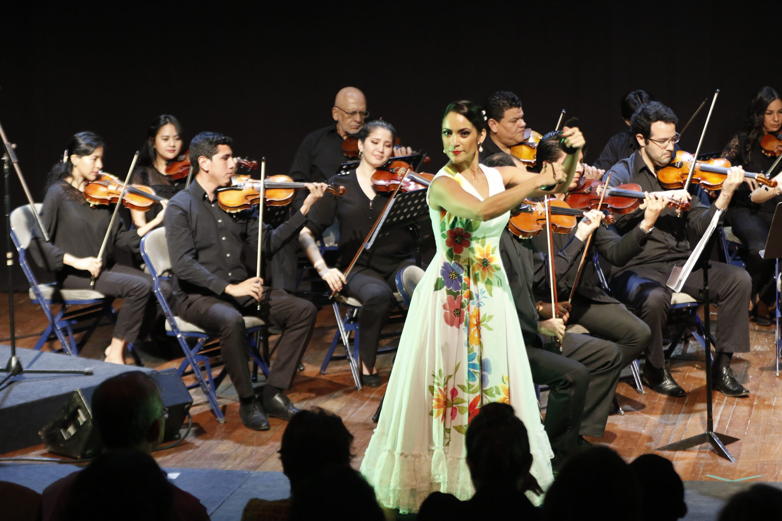 Con las castañuelas como protagonistas, Scarlett Pazmiño interpreta junto a la Orquesta de Cámara Antonio Vivaldi, bajo la dirección del maestro José Valdivieso, llevando la fuerza del movimiento y la música a un diálogo universal. Foto cortesía