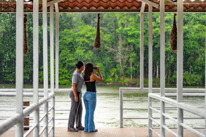 Turistas observan el Lago San Pedro en La Joya de los Sachas, un refugio amazónico donde la lluvia y el verde intenso invitan a desconectarse y contemplar la naturaleza. Foto cortesía