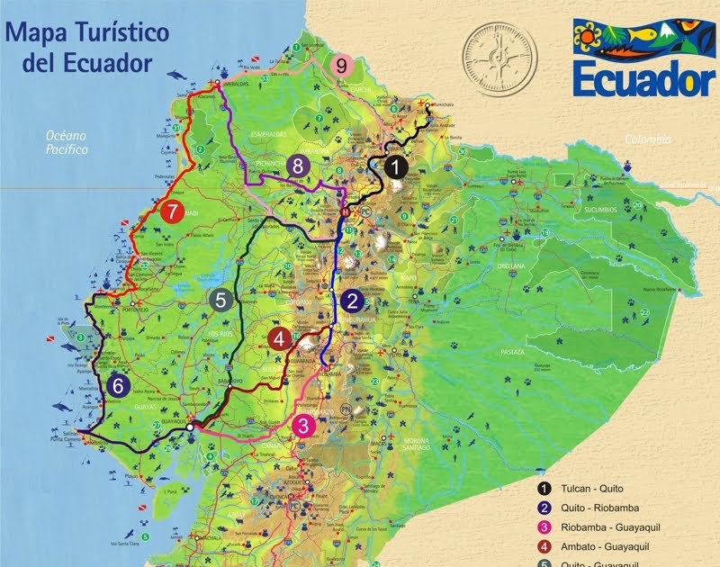 Mapa turístico del Ecuador publicado en la campaña Ecuador, la vida en estado puro: un país de rutas, colores y destinos que nos recuerda que la diversidad es nuestra mayor riqueza.