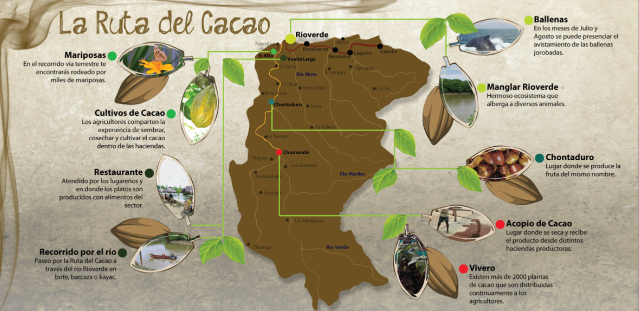 Mapa interpretativo de la Ruta del Cacao en Río Verde, Esmeraldas, donde se integran experiencias de cultivo, gastronomía, biodiversidad y tradiciones locales, invitando a descubrir el vínculo entre naturaleza y cultura en torno al “grano de oro” del Ecuador.