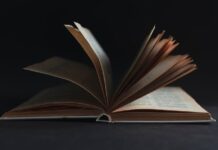 La emoción moviliza las palabras inmóviles de la escritura Las palabras parecen permanecer inmóviles en la página, pero cobran vida cuando el lector las activa con su imaginación, su memoria y sus emociones. Foto: Román Stavila