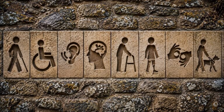La discapacidad tiene distintas manifestaciones y requiere respuestas que garanticen la accesibilidad, la autonomía y la igualdad de oportunidades. Esta composición gráfica representa algunas de ellas mediante símbolos integrados en un muro de piedra. Imagen: Recreación digital elaborada para El Costanero a partir de una fotografía original de Gryziu, publicada en Pexels.